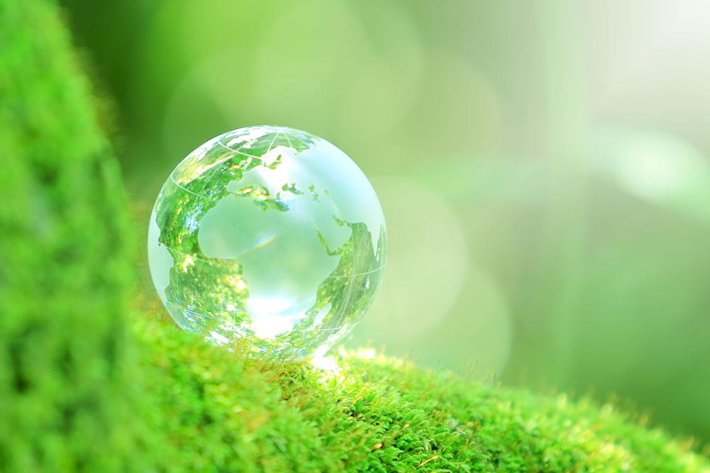 HOKKAI NOKEN（ホッカイノウケン）は新しくウェブサイトを開設しました